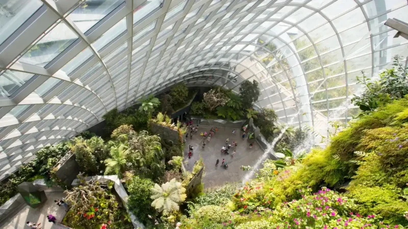 Singapore Flower Dome