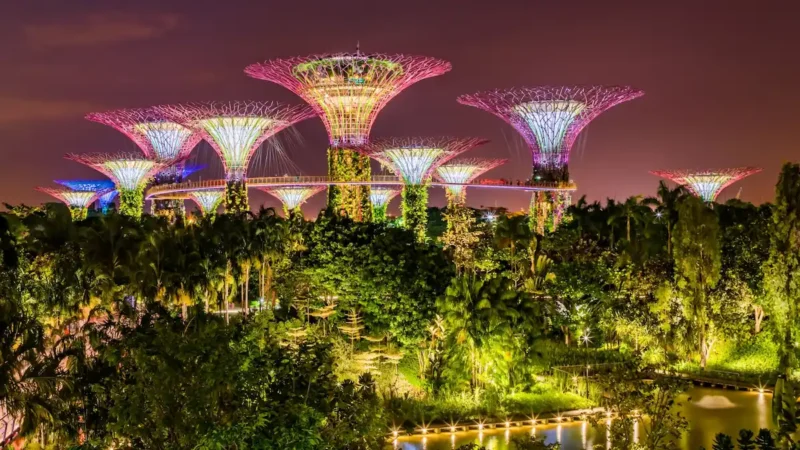 Gardens by the Bay