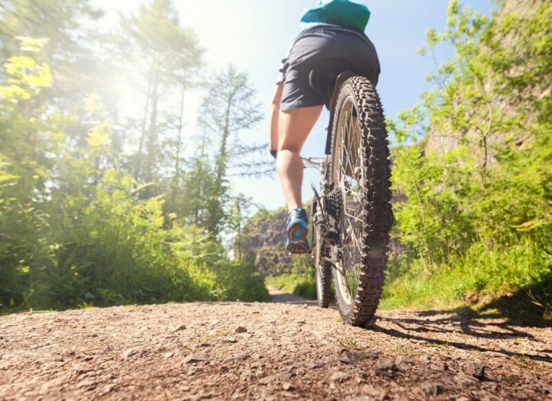 Cyclist riding along a forest trail in Chestnut Nature Park